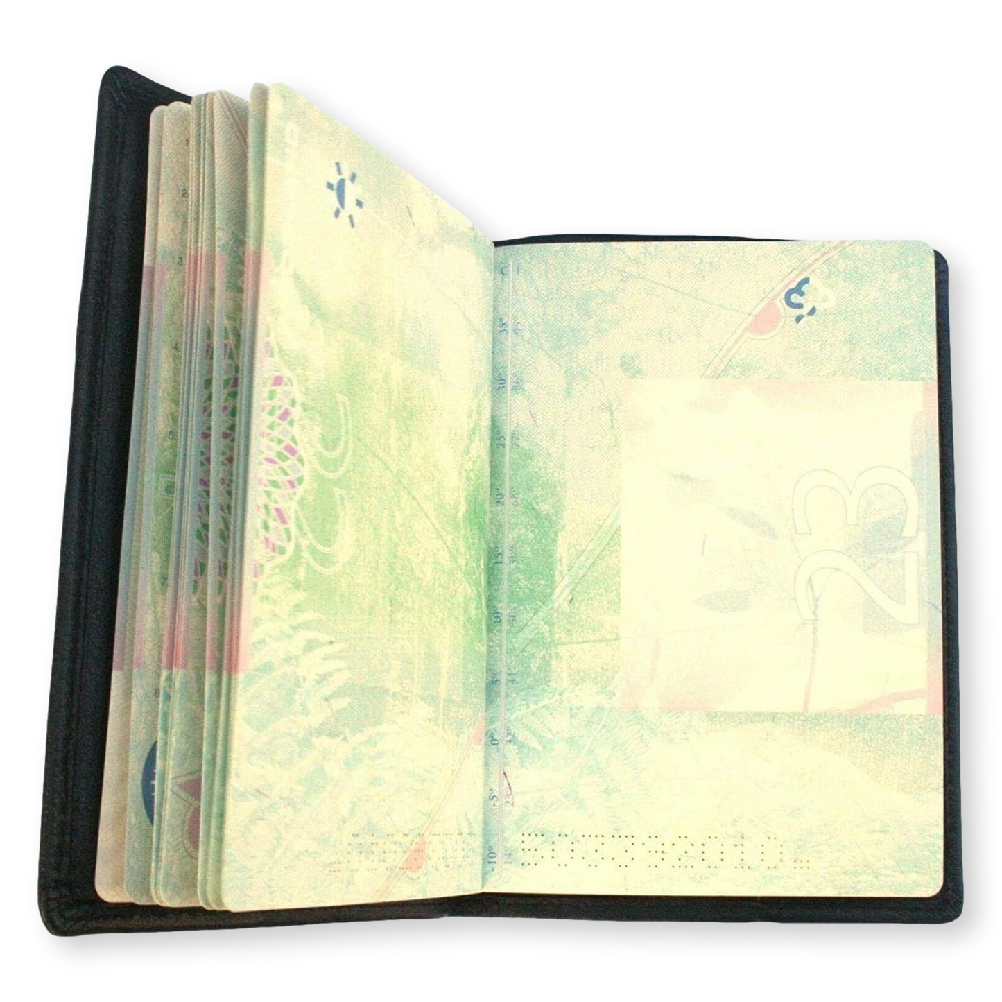 Trout, Salmon, Fly & More Black Leather Passport Holder | Fly Fishing