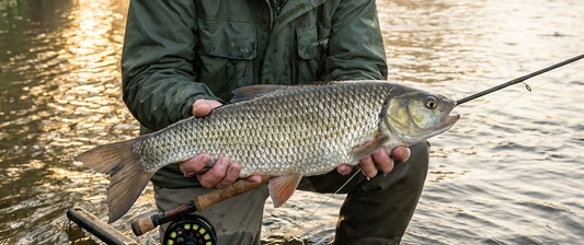 How to Catch Chub on a River (Beginner’s Guide)