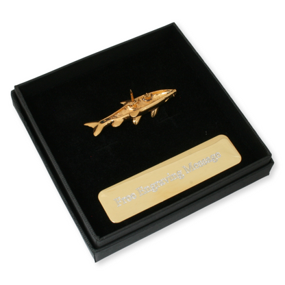 Gold Barbel Pin Badge Back